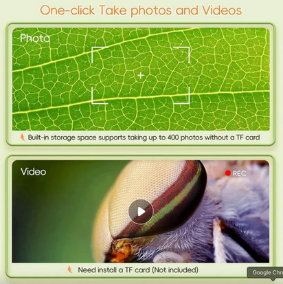 Explorer's Pocket Microscope™